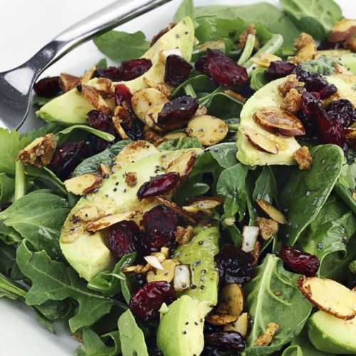 Avocado salad - Vegetarian cuisine