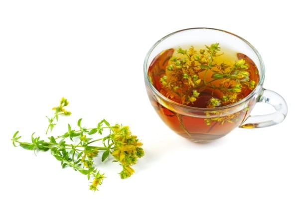 St. John's wort and herbal tea isolated on white background