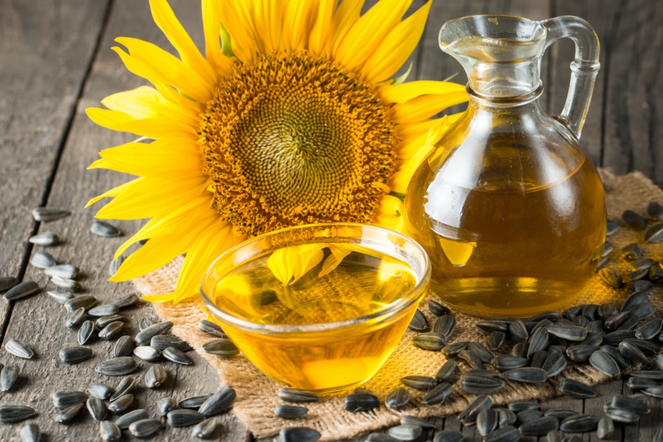 13 Reasons To Love Sunflowers Even More Farmers' Almanac Plan Your