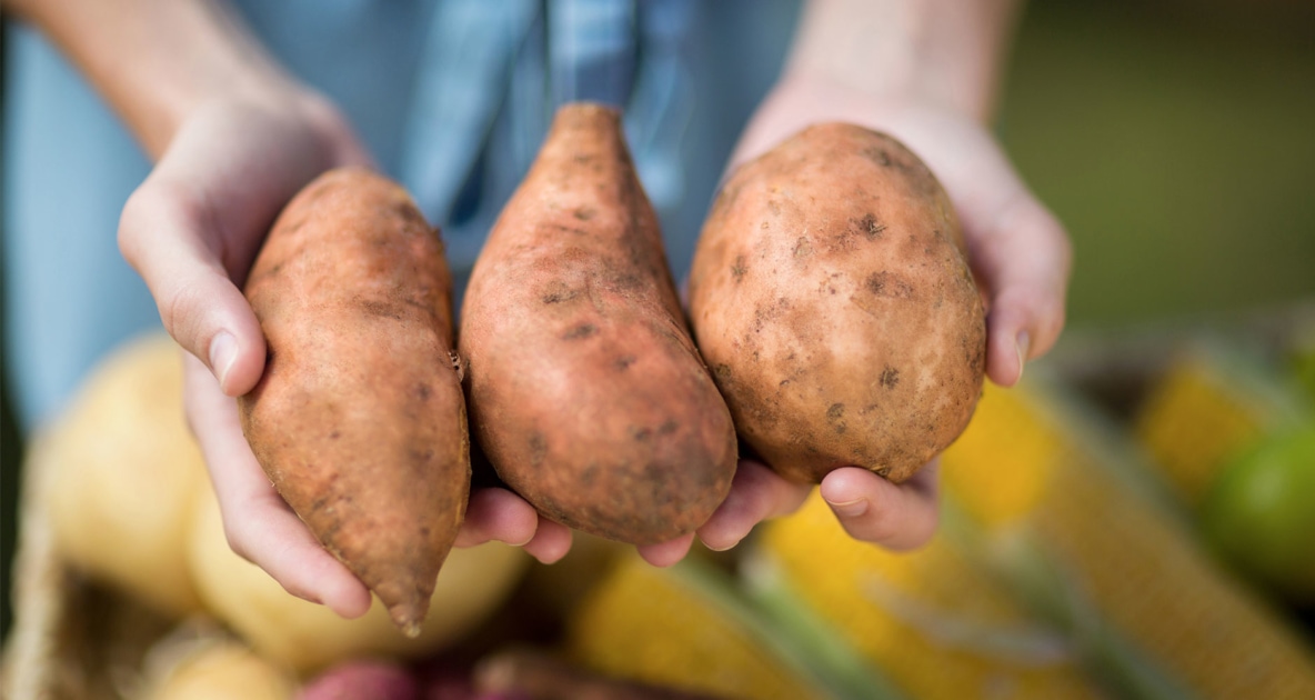 Sweet potatoes held in hands.