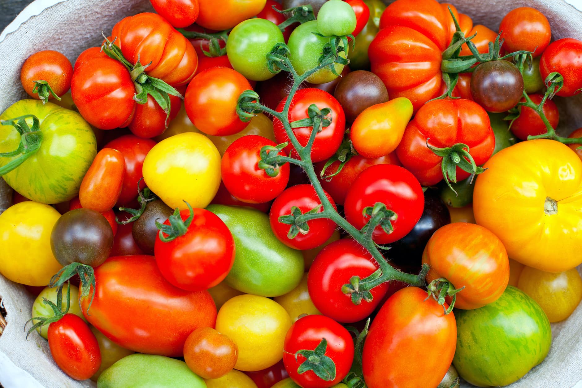 10 Things To Do With All Your Garden Tomatoes Farmers' Almanac