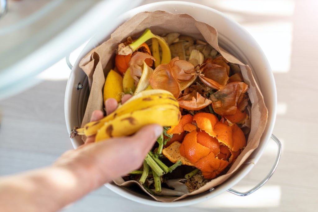 Compost collection bin filled with kitchen scraps.