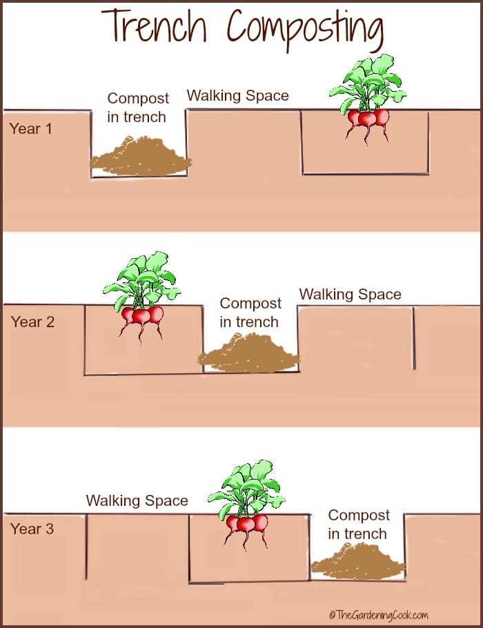 crop rotation trench composting infographic.