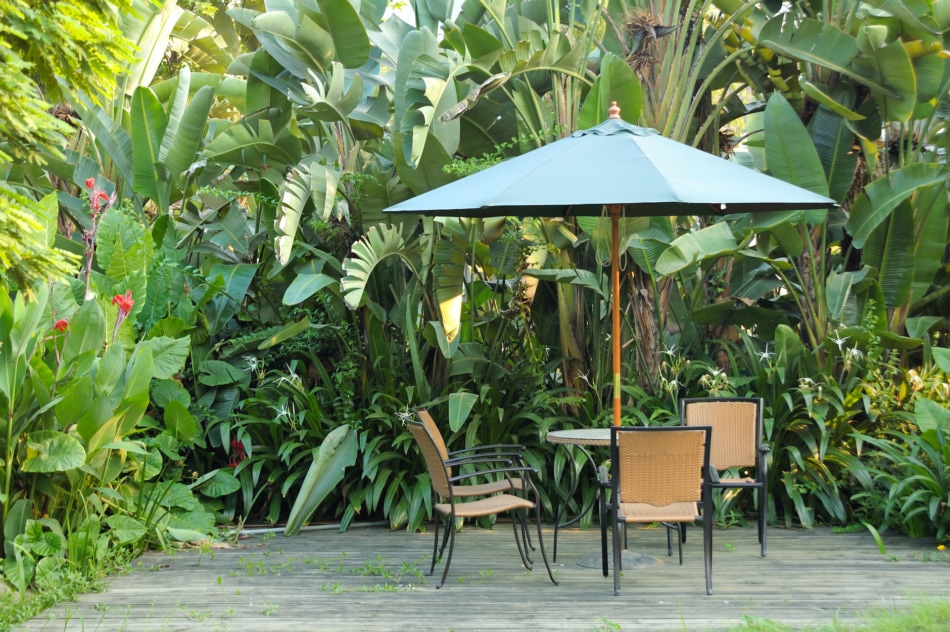 Garden furniture - rattan chairs and table under umbrella on a wooden floor by the banana trees background at garden.