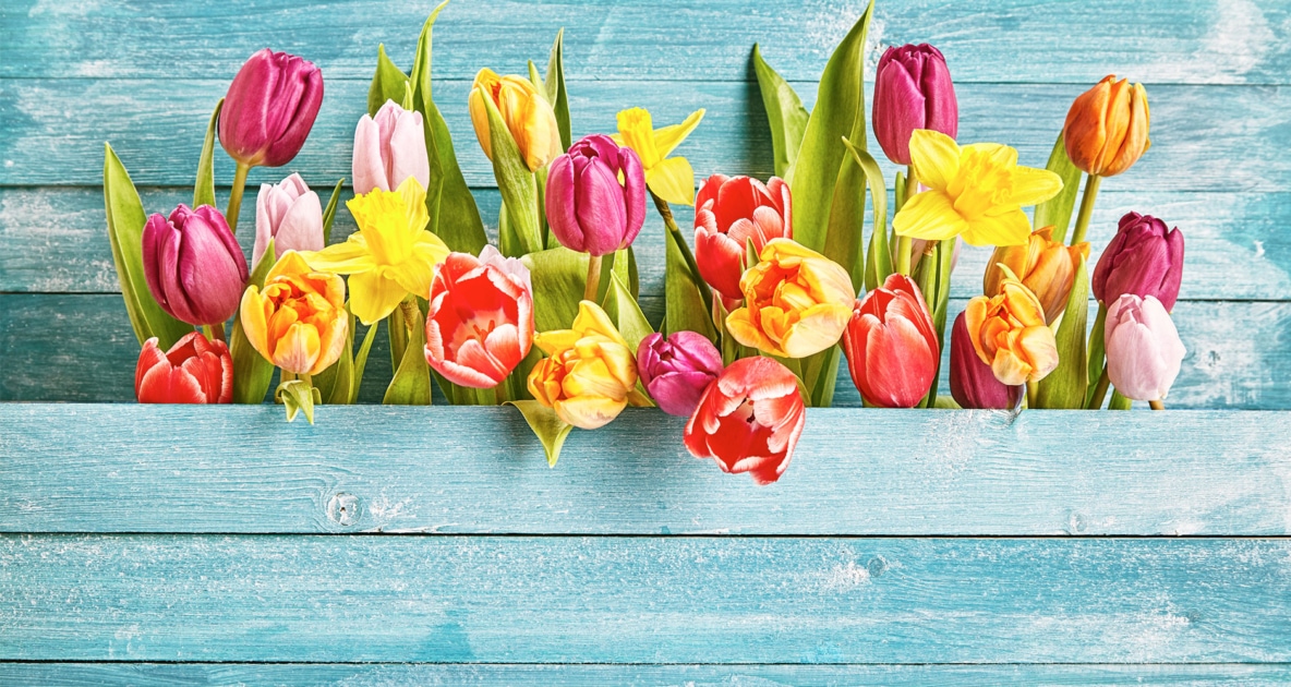 How These 6 Flowers Got Their Names Farmers Almanac