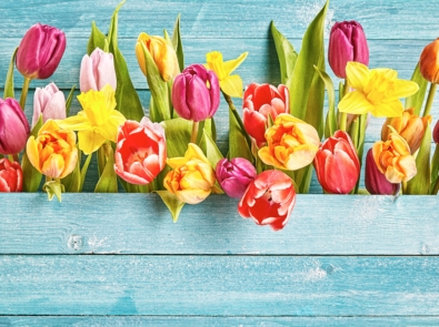 How These 6 Flowers Got Their Names featured image