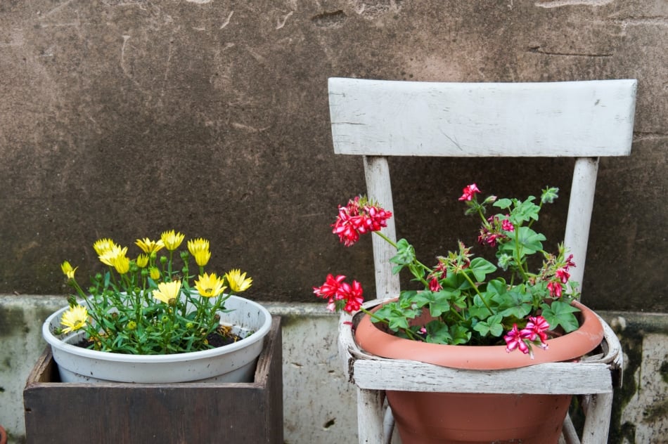 Garden planters made from chairs