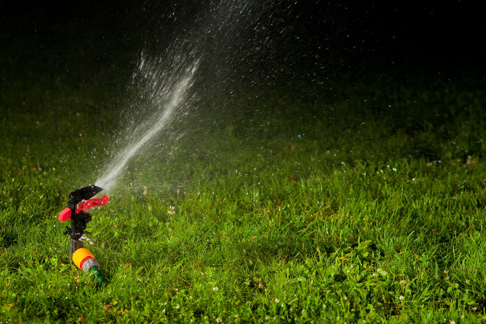 Motion-activated lawn sprinkler at night, a humane way to scare squirrels off without harming them.