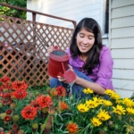 Flowering plant - Annual plant