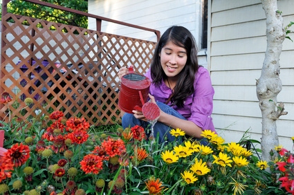 Flowering plant - Annual plant