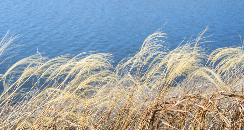 Wind Weather Lore Farmers' Almanac Plan Your Day. Grow Your Life.
