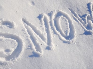 How Many Words for Snow? featured image
