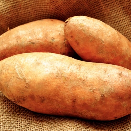 Sweet potato - Sweetness