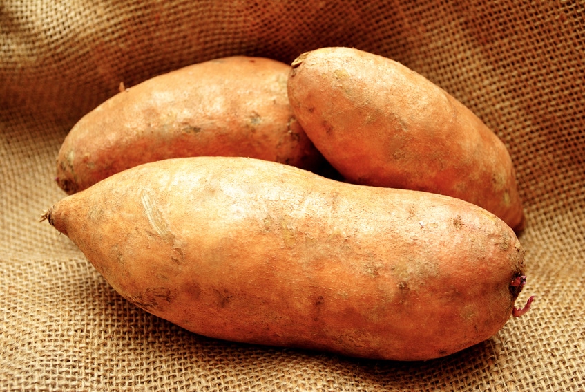 Sweet potato - Sweetness