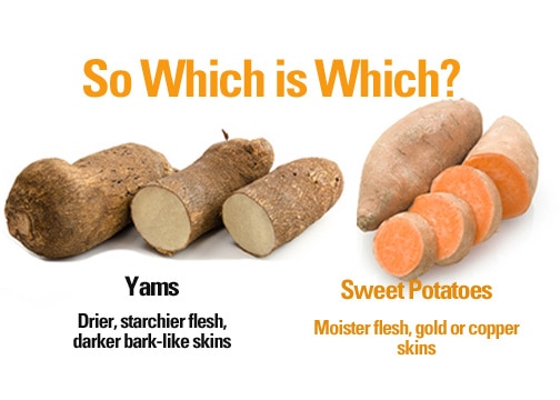 when is a yam actually a sweet potato?