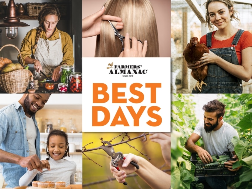 Best Days - Farmers' Almanac - Plan Your Day. Grow Your Life.