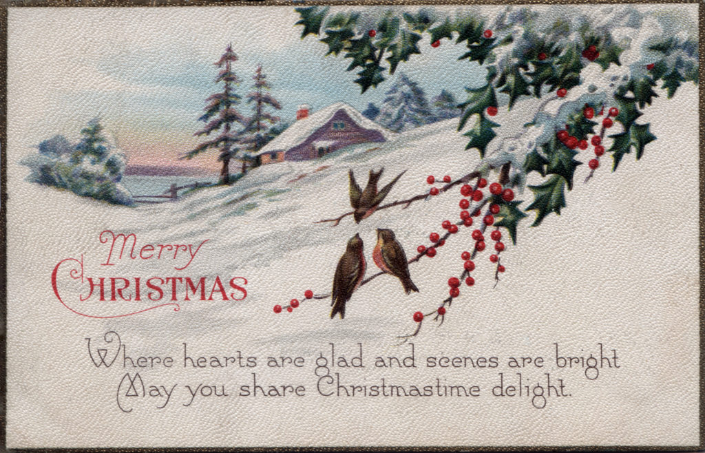 Vintage Postcard wishing a Merry Christmas showing winter scene, birds on bayberry branch cabin in snow