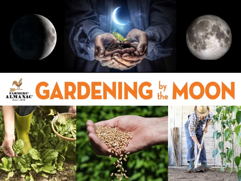 Garden By The Moon Header by Farmers' Almanac.