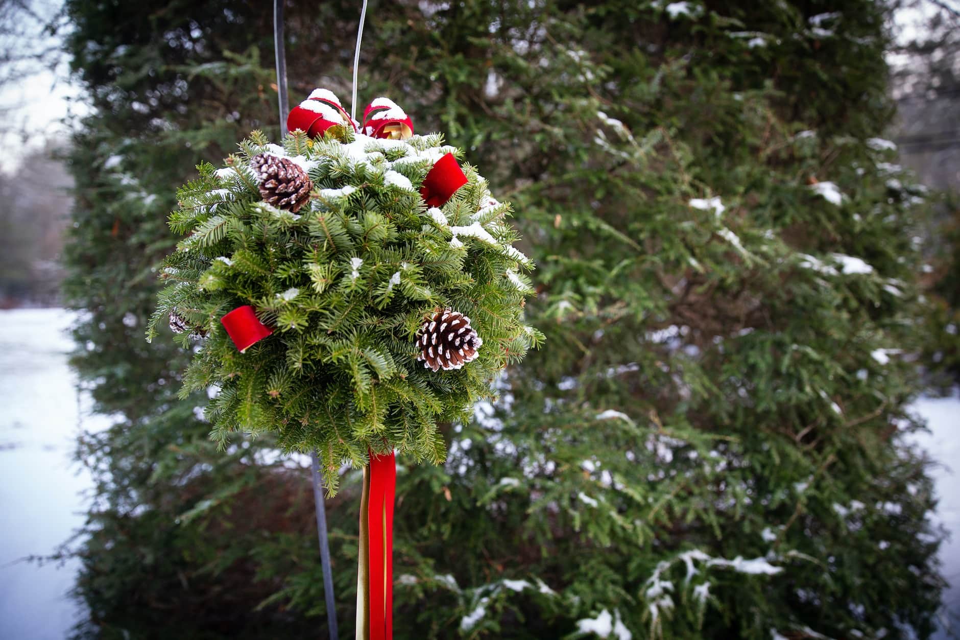 Christmas kissing ball deals