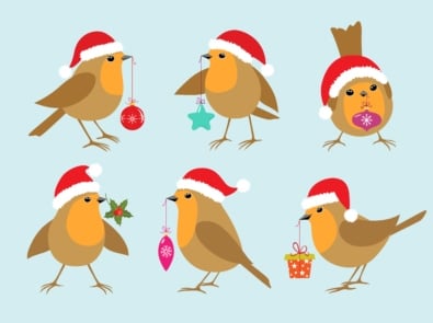 Meet The Birds of the “Twelve Days of Christmas” featured image