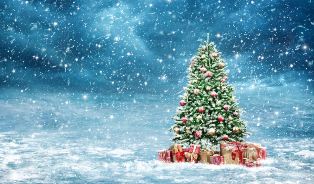 Christmas Tree - Christmas Day