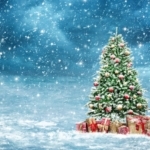 Christmas Tree - Christmas Day