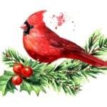 Illustration - Stock photography