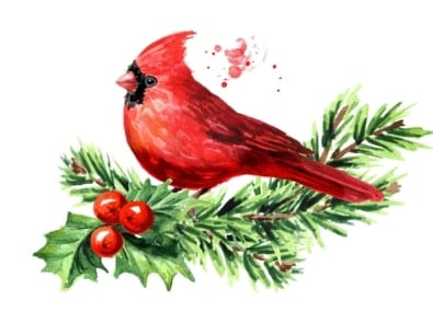 7 Popular Songbirds That Decorate The Holidays featured image