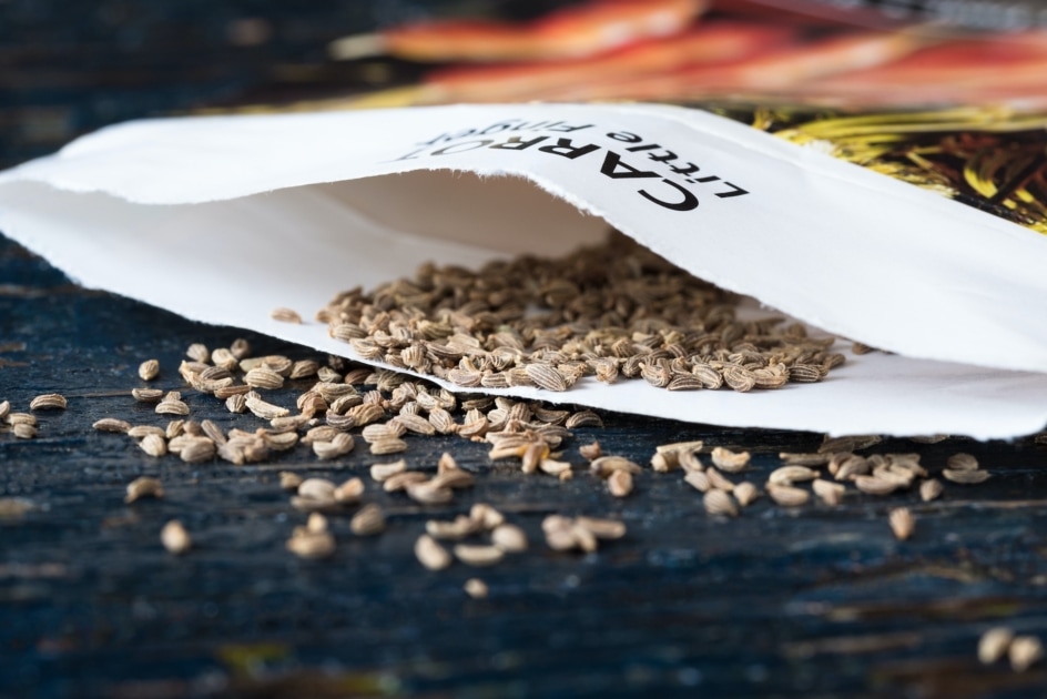 When To Start Your Seeds Chart Farmers' Almanac