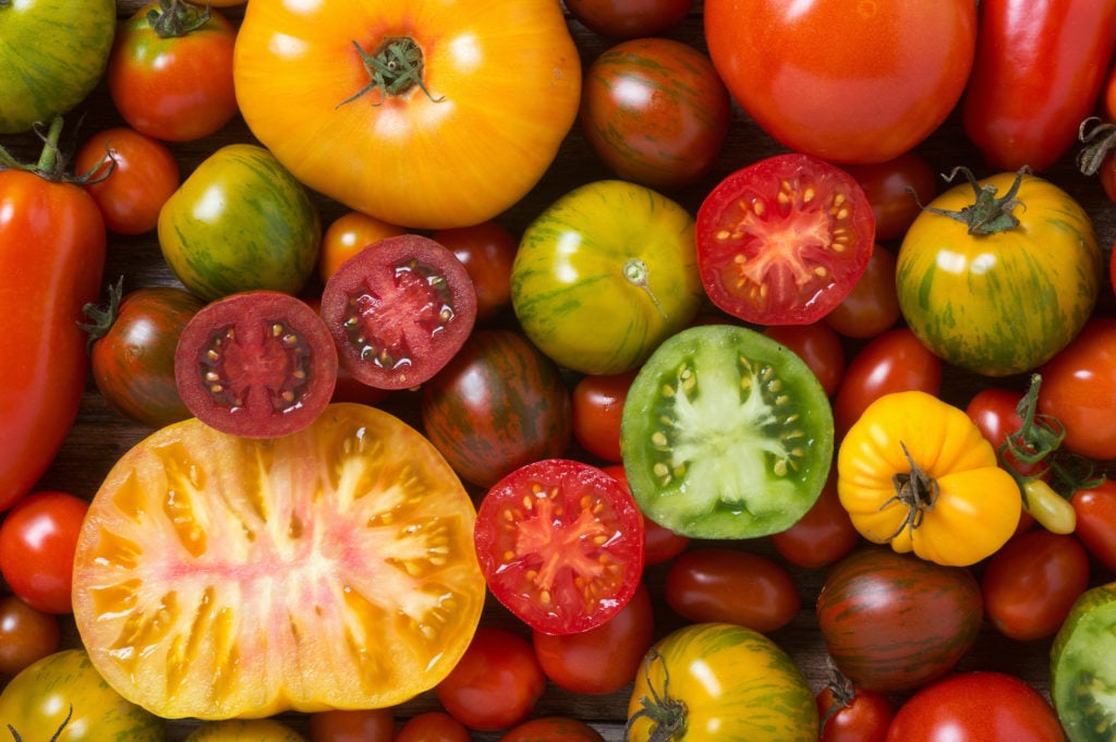 Heirloom Tomato - Italian tomato pie