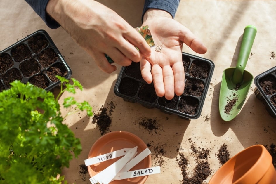 DIY Summer Garden Seed Packet Organizer Tutorial