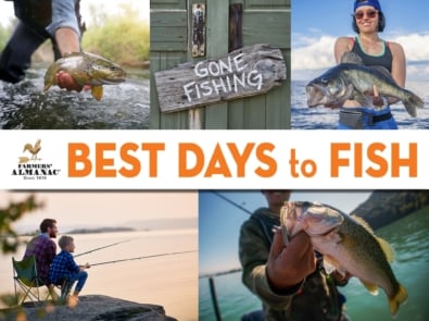 Fishing Calendar featured image