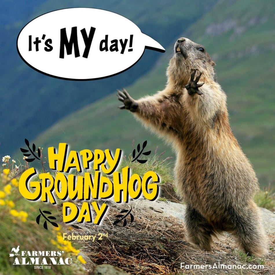 Groundhog Day 2022 Forecast, Facts, and Folklore Farmers' Almanac