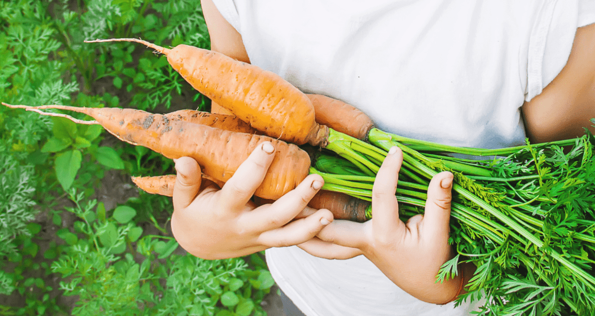 Local food - Farmers' Almanac