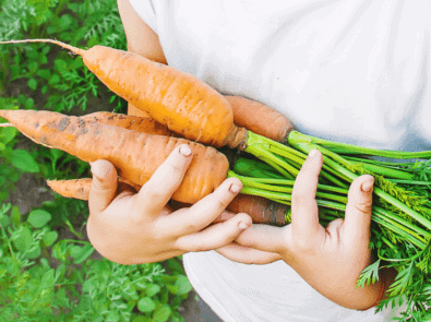 Hügelkultur: A Step-by-Step Guide For The Ultimate Raised Garden Bed featured image