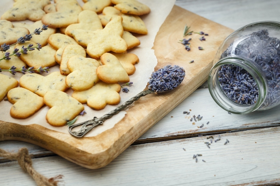 Stock photography - Biscuit