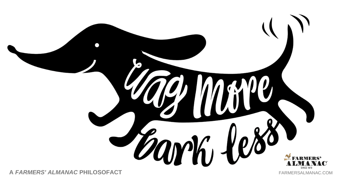 Wag more, bark less.image preview