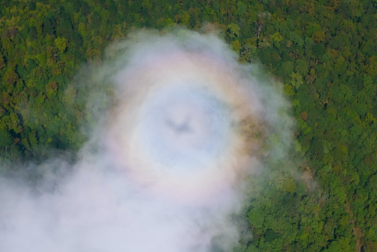 Brocken spectre light phenomenon,  also called a Brocken bow.