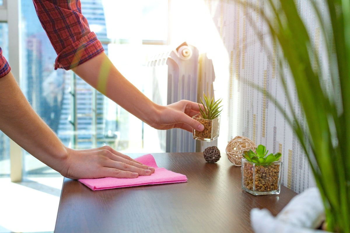 10 Natural Ways To Keep Spiders Out Of Your House! Farmers' Almanac
