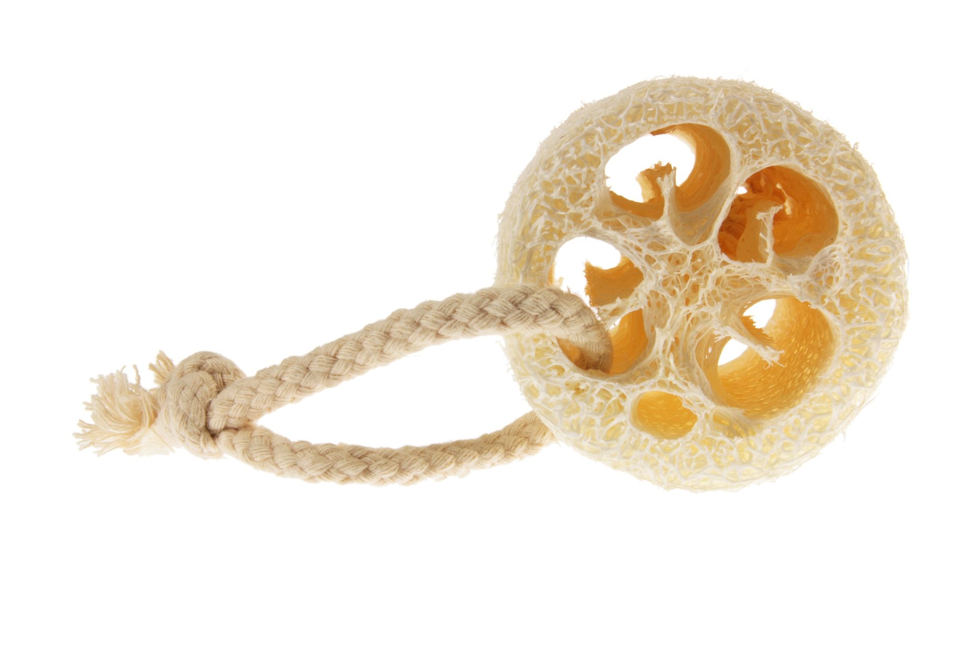 How To Grow Luffa To Make Your Own Sponge Farmers' Almanac Plan