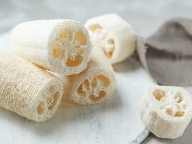 How To Grow Luffa To Make Your Own Sponge featured image