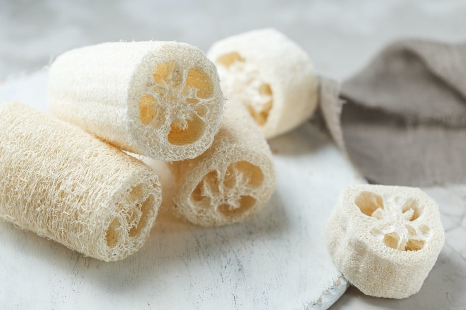 Alternatives to Traditional Loofahs
