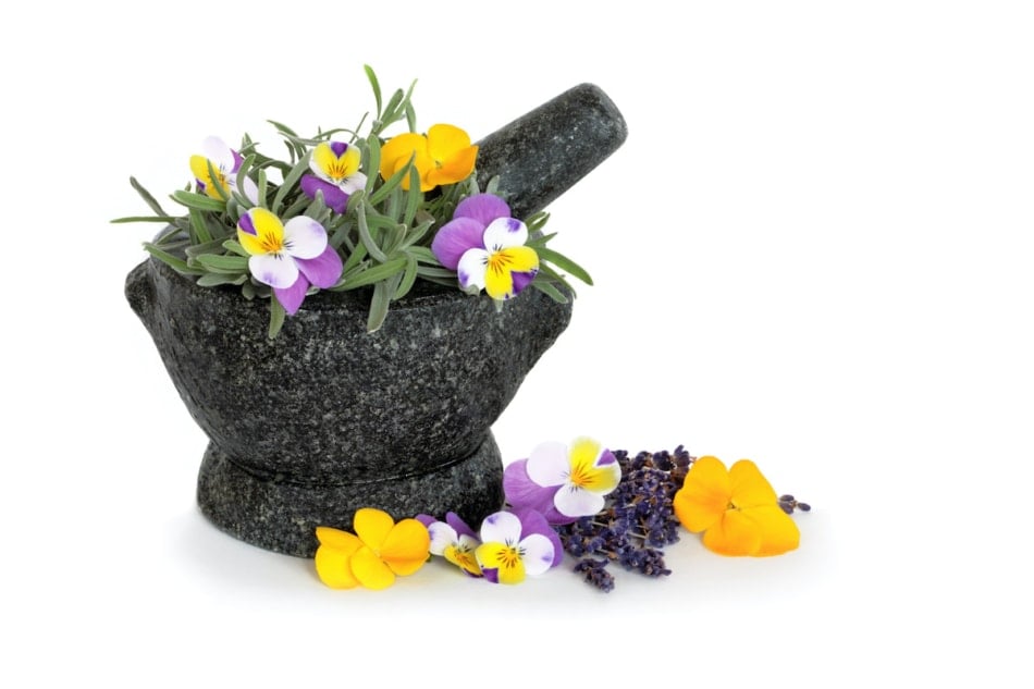 Pansies in mortar and pestle.