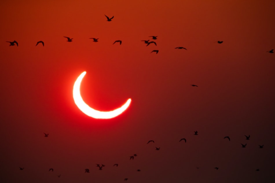 Partial Solar eclipse at sunrise with birds flying in the distance