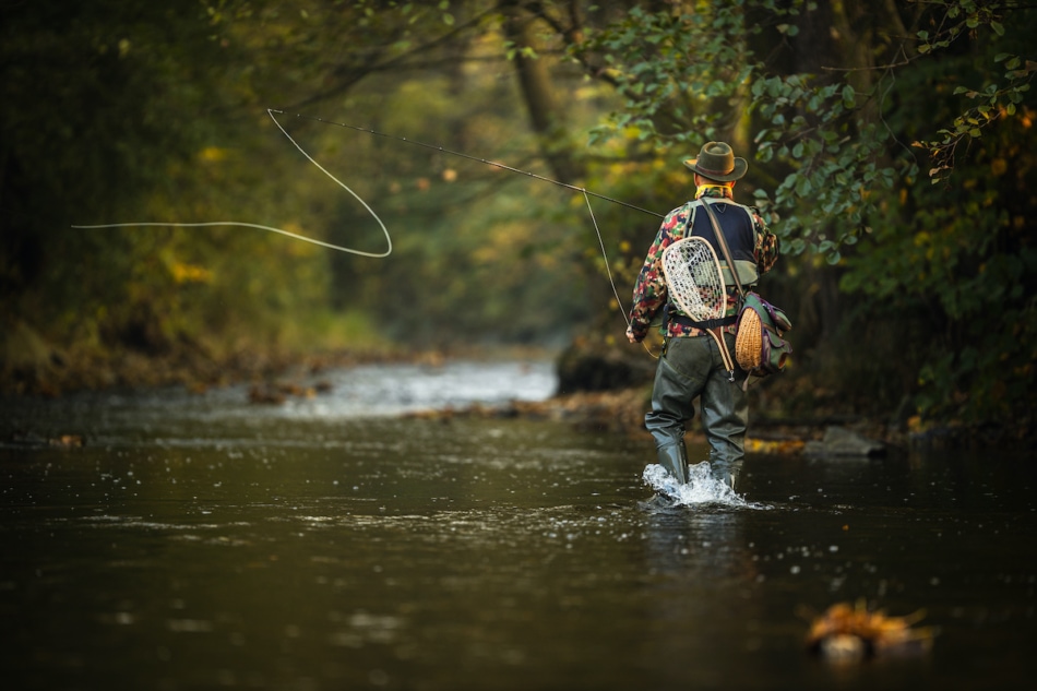 Close-up view of the hands of a fly fisherman holding a lovely trout while  fly fishing on a splendid mountain river