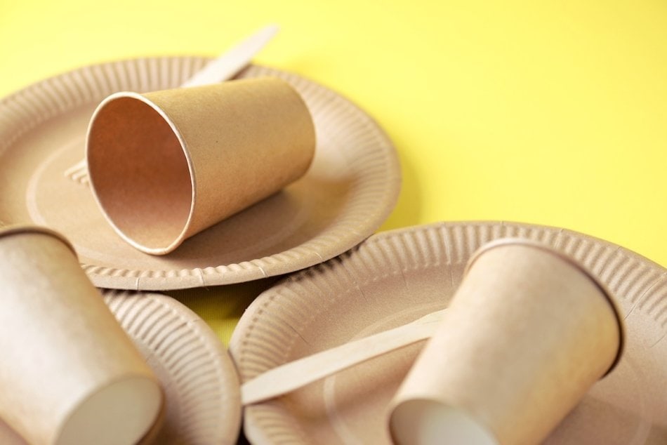 eco-friendly plates, cups and cutlery