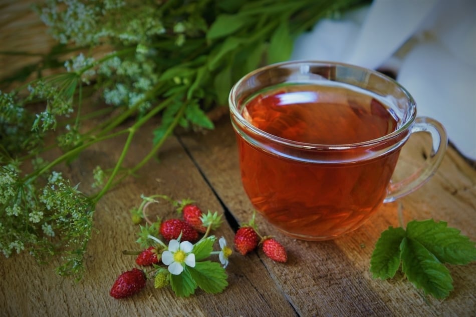 cup of wild strawberry top tea