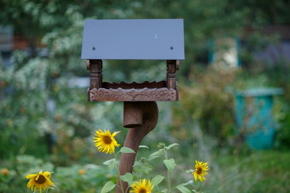 bird feeder in the garden with sunflowers grown around