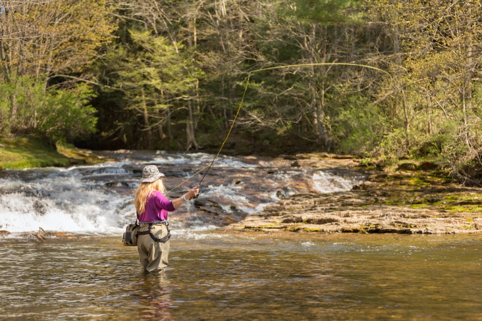 Woman Fly Fishing in a stream, casting her line.