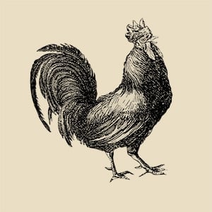 Black and white painting of a rooster.